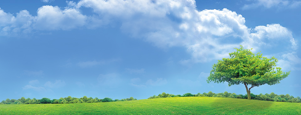 banner1